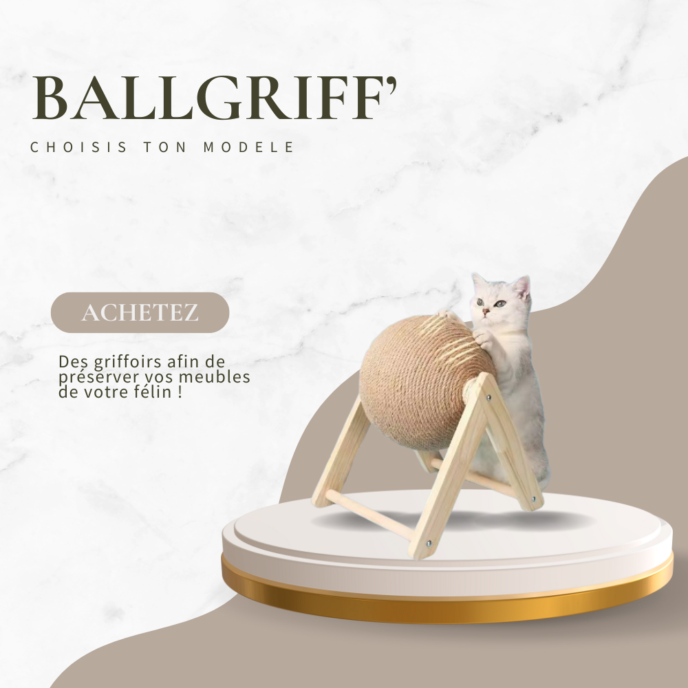 La BALLGRIFF'