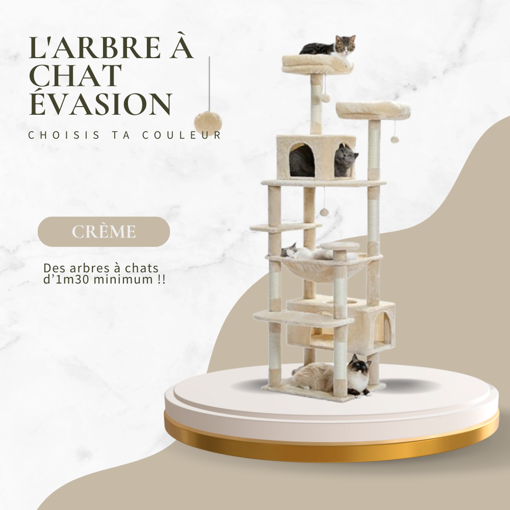 L'ARBRE A CHAT EVASION