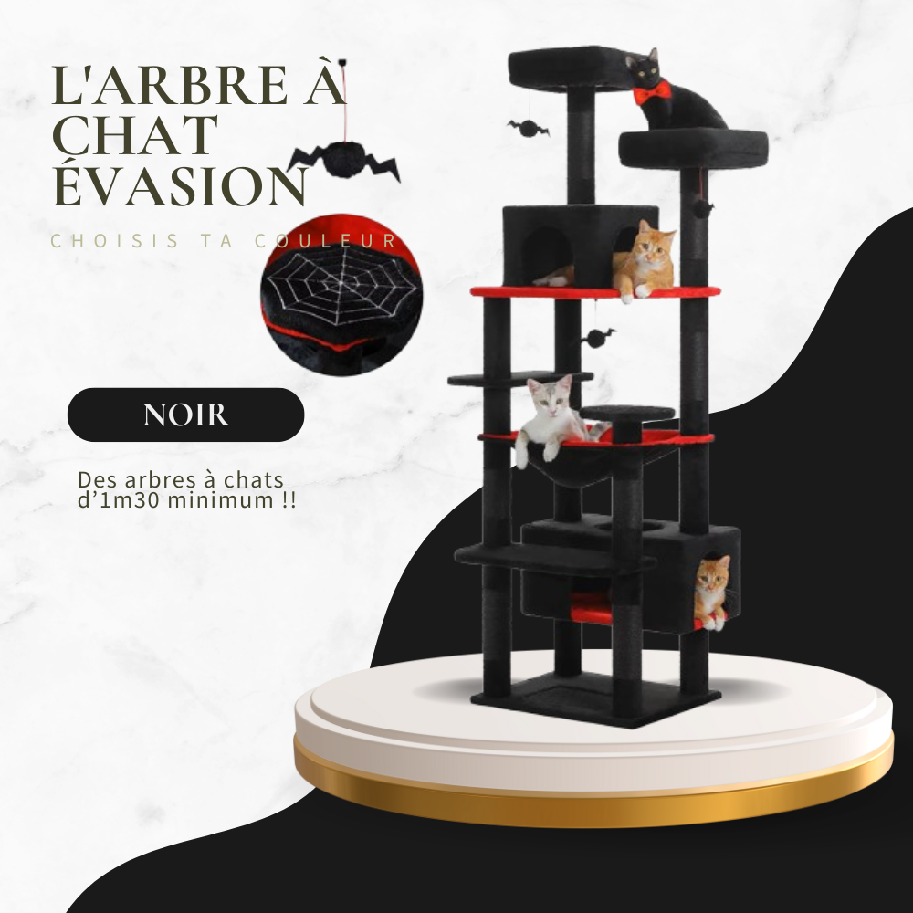 L'ARBRE A CHAT EVASION