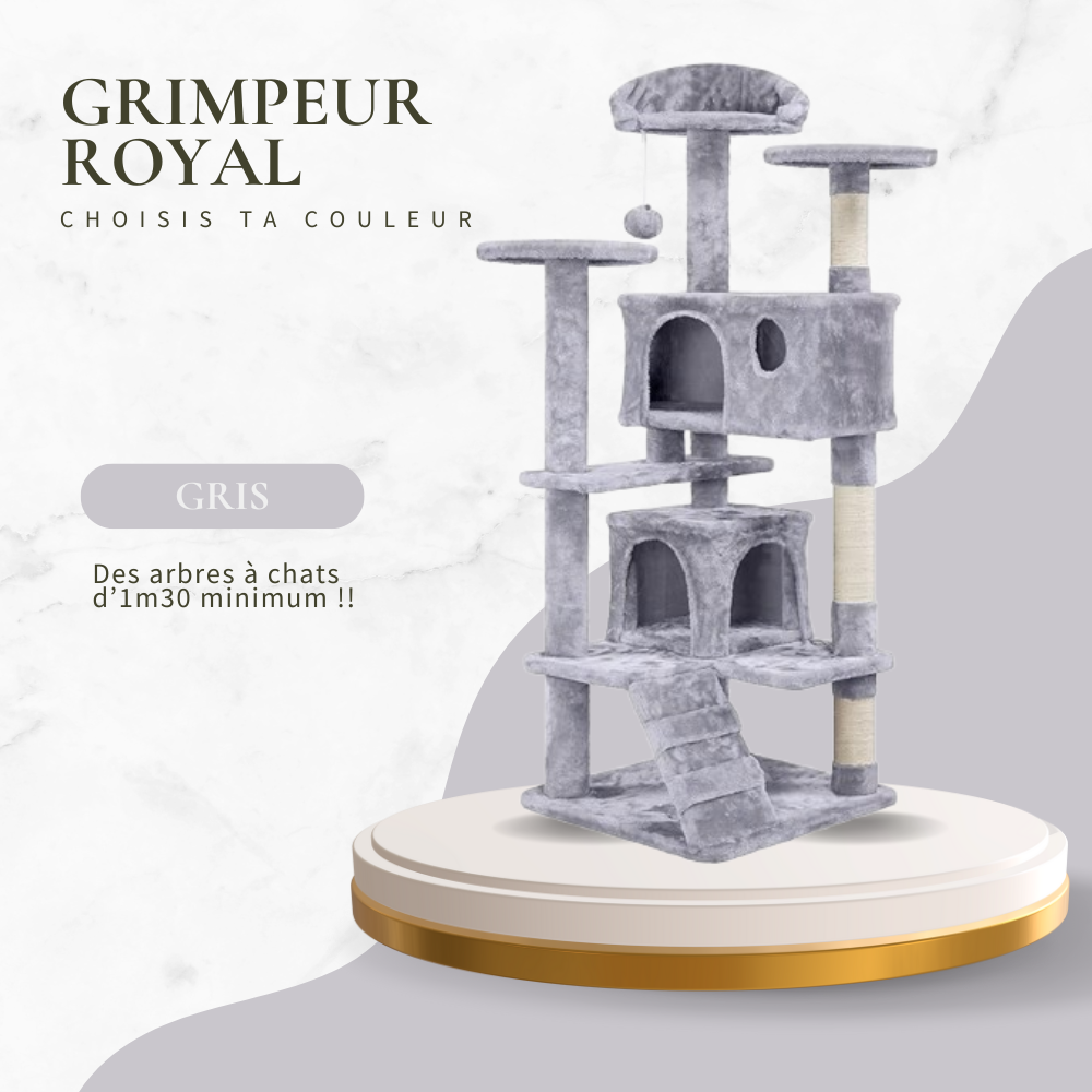 Le GRIMPEUR ROYAL