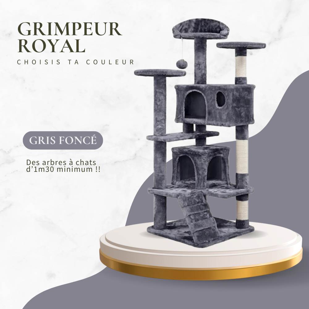 Le GRIMPEUR ROYAL